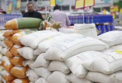 قیمت برنج در میادین و بازارهای میوه و تره بار شهرداری