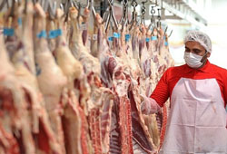 قیمت گوشت گوساله و گوسفند در میادین میوه و تره بار تهران