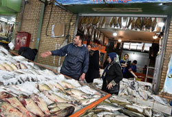 ۱۲ خرداد ۱۴۰۲ | قیمت انواع ماهی در بازار تهران