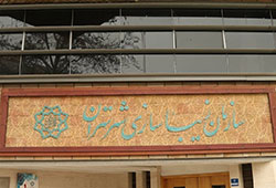 گافهای سازمان زیباسازی شهرداری تهران تمامی ندارد!